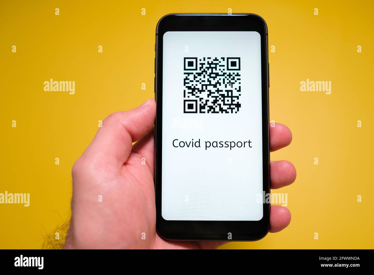 Uno smartphone con passaporto elettronico immuno digitale salute, Covid passare con codice QR in mano mans sullo sfondo giallo. Foto Stock