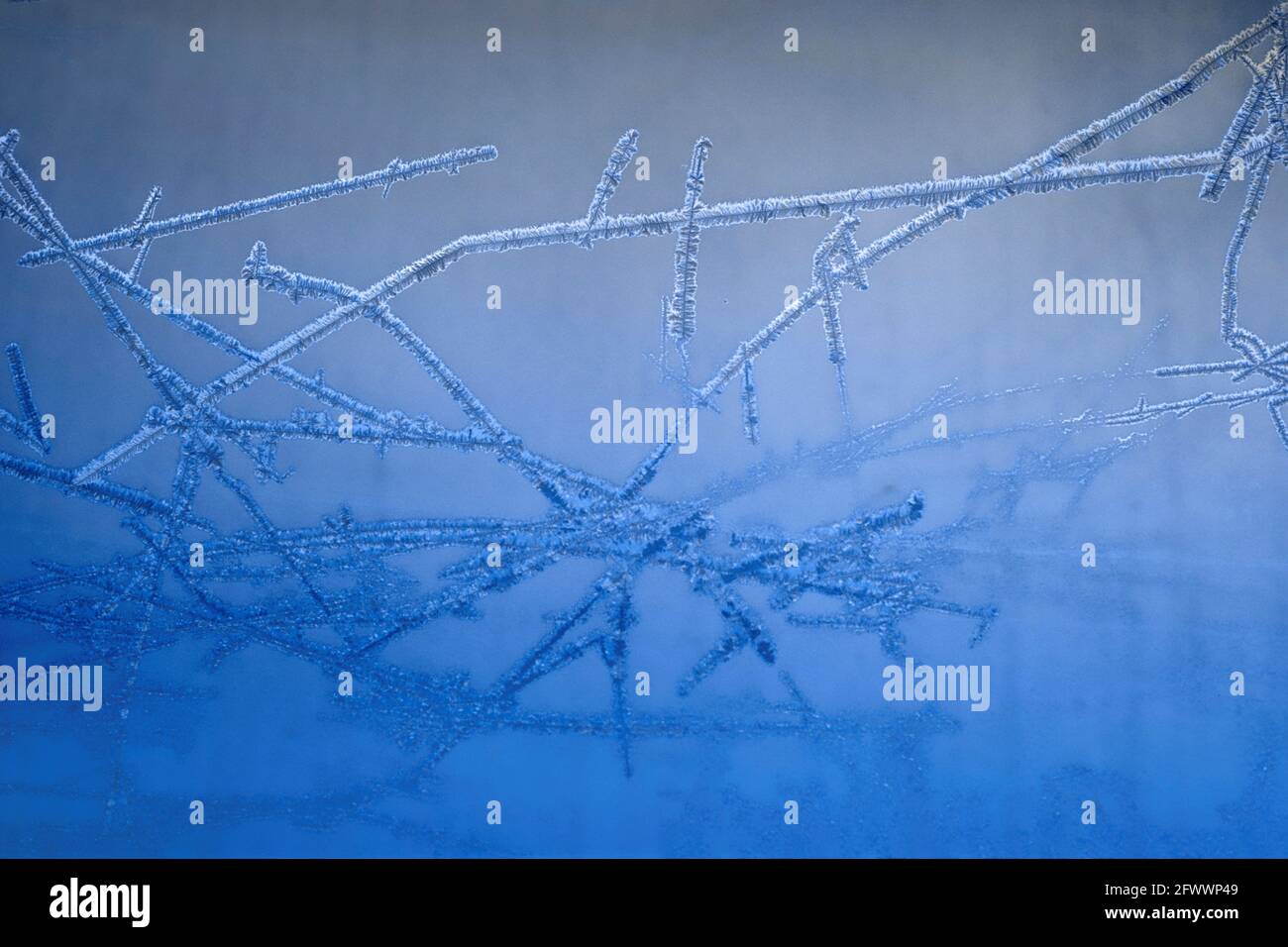Finestra Frost Foto Stock