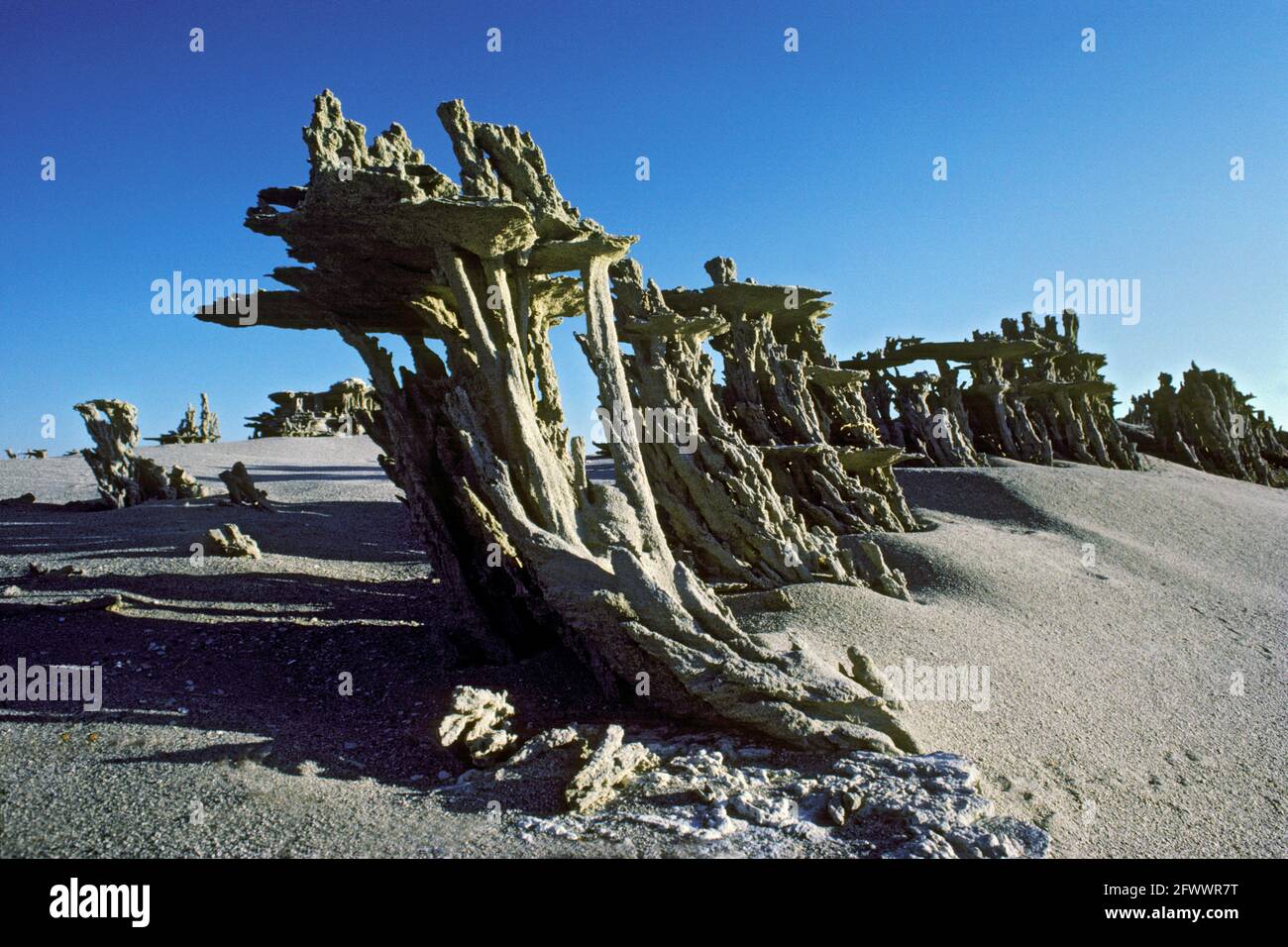 Mono Lago Tufas sabbia di Sunrise Foto Stock