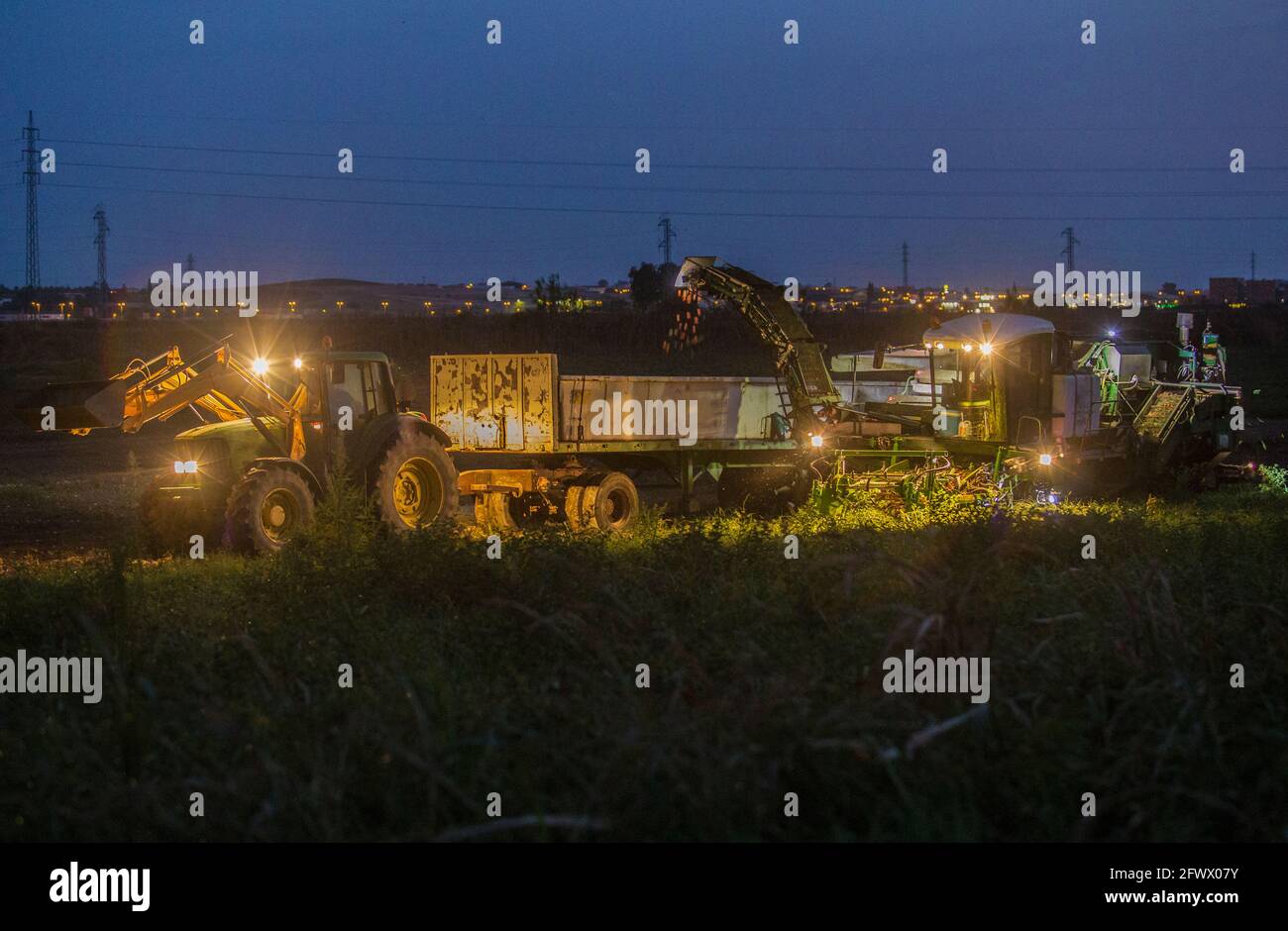 La raccoglitrice di pomodori funziona di notte. Scarica. Vegas Bajas del Guadiana, Spagna Foto Stock