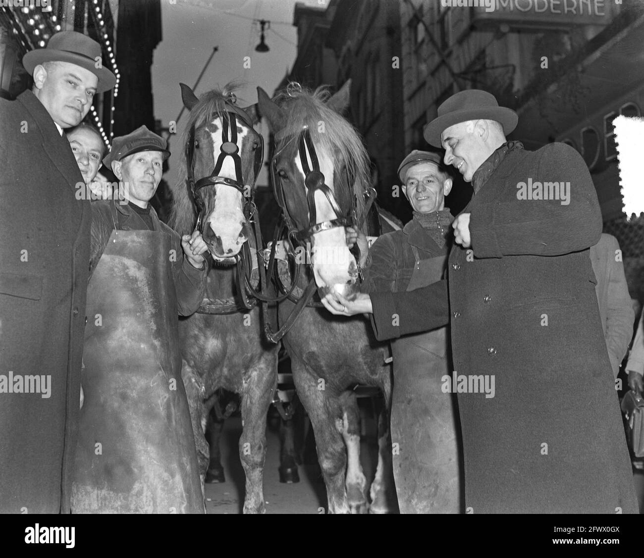 Assignment Shops (Horses Kalverstraat), 7 marzo 1952, PAARDEN, WINKELS, Incarichi, Paesi Bassi, foto agenzia stampa del XX secolo, notizie da ricordare, documentario, fotografia storica 1945-1990, storie visive, Storia umana del XX secolo, che cattura momenti nel tempo Foto Stock