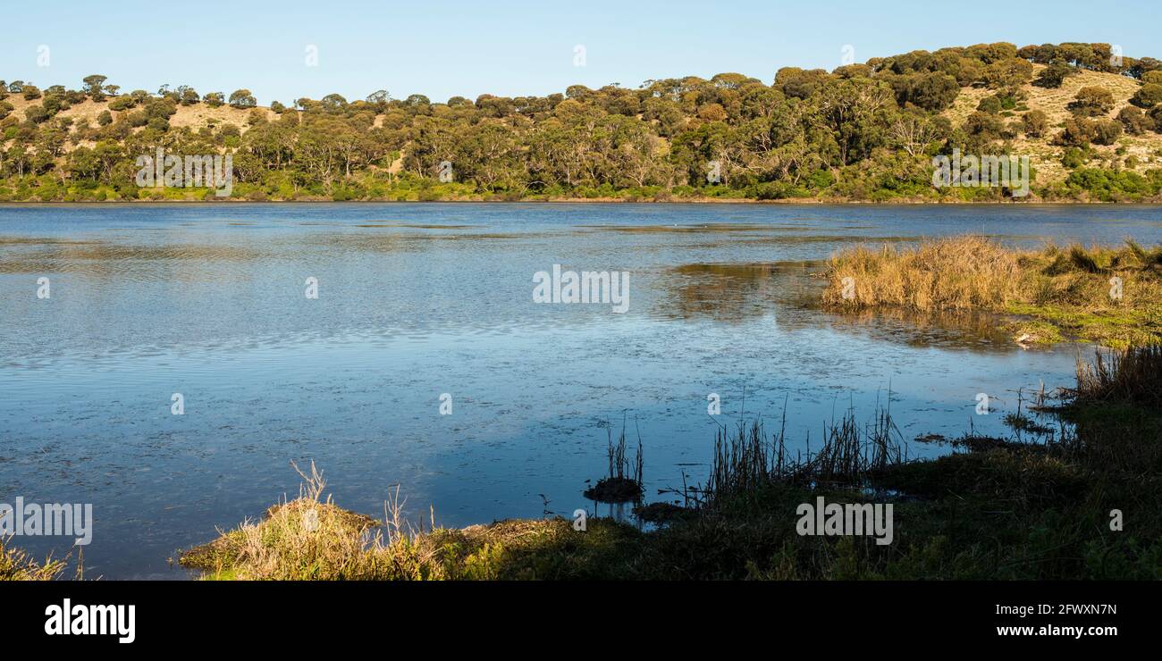 West Lake, Tower Hill, Victoria Foto Stock