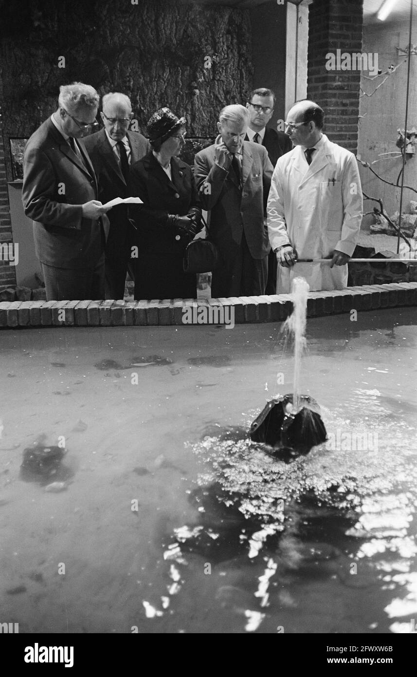 Audizione di corte in acquario marino a Bergen, la corte durante la visione, 2 giugno 1964, viste, campi, I Paesi Bassi, agenzia di stampa del XX secolo phot Foto Stock