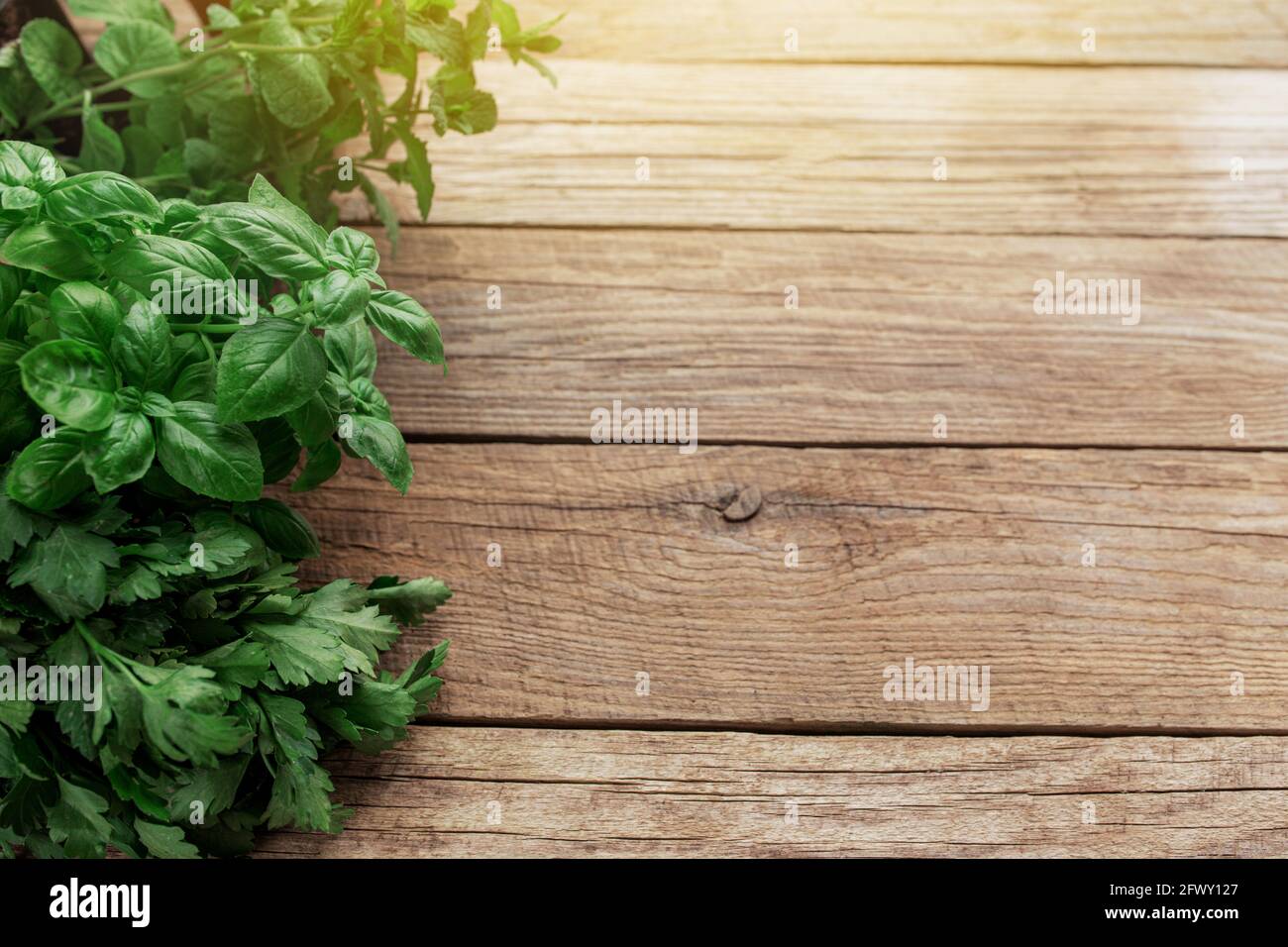 Concetto di giardinaggio e di alimentazione sana con erbe e insalata diverse foglie su sfondo di legno Foto Stock