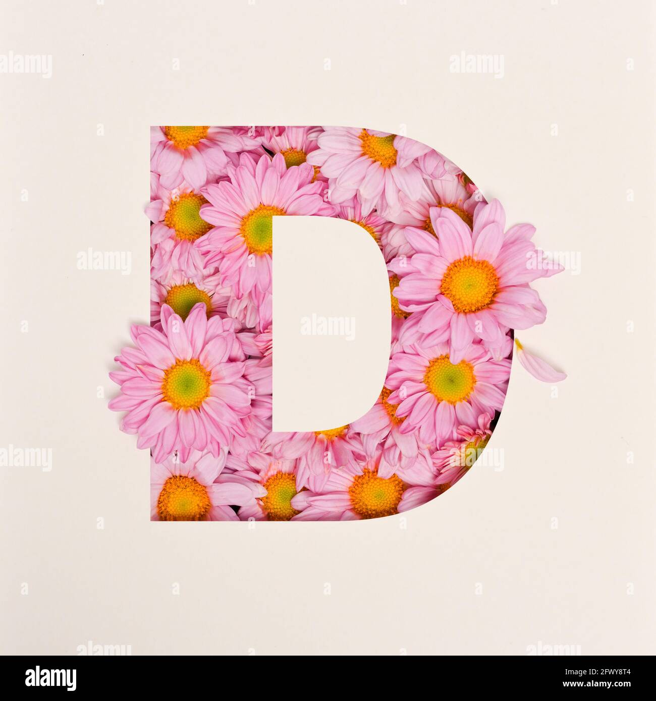 Font design, carattere astratto alfabeto con fiore rosa, tipografia dei  fiori realistica - D Foto stock - Alamy