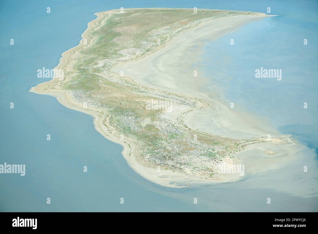 Sandbar a Lake Eyre, Australia del Sud Foto Stock