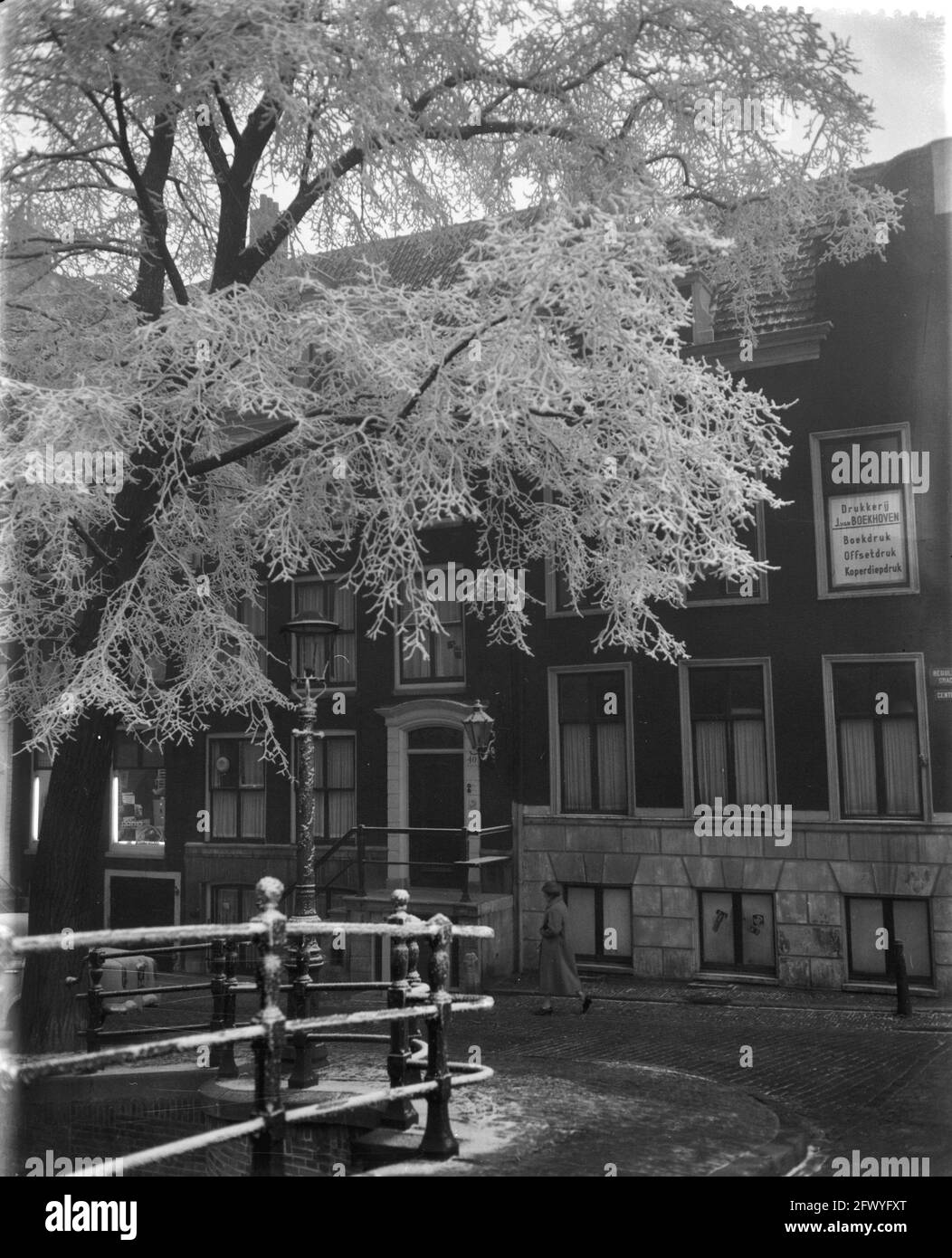Reguliersgracht ad Amsterdam con alberi ghiacciati, 7 febbraio 1959, TREE, Paesi Bassi, foto agenzia stampa del xx secolo, notizie da ricordare, documentario, fotografia storica 1945-1990, storie visive, Storia umana del XX secolo, che cattura momenti nel tempo Foto Stock