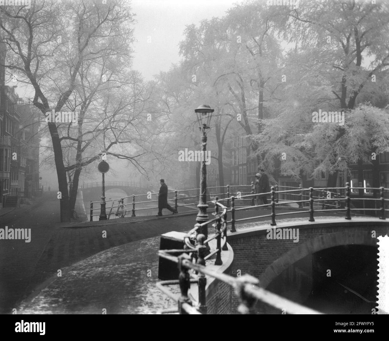 Reguliersgracht ad Amsterdam con alberi ghiacciati, 7 febbraio 1959, alberi, ghiaccio nero, inverno, I Paesi Bassi, foto agenzia stampa del XX secolo, notizie da ricordare, documentario, fotografia storica 1945-1990, storie visive, Storia umana del XX secolo, che cattura momenti nel tempo Foto Stock