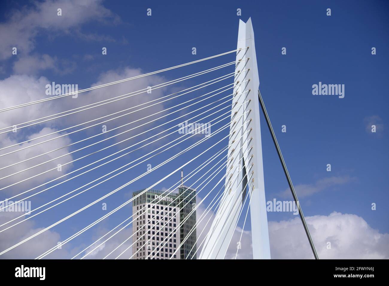 Rotterdam, Paesi Bassi. 21 Maggio 2021. Il ponte Erasmus è stato progettato dallo studio architettonico Van Berkel & Bos (ben van Berkel e Caroline Bos) di fronte all'alto edificio Deloitte. Credit: Soeren Stache/dpa-Zentralbild/dpa/Alamy Live News Foto Stock