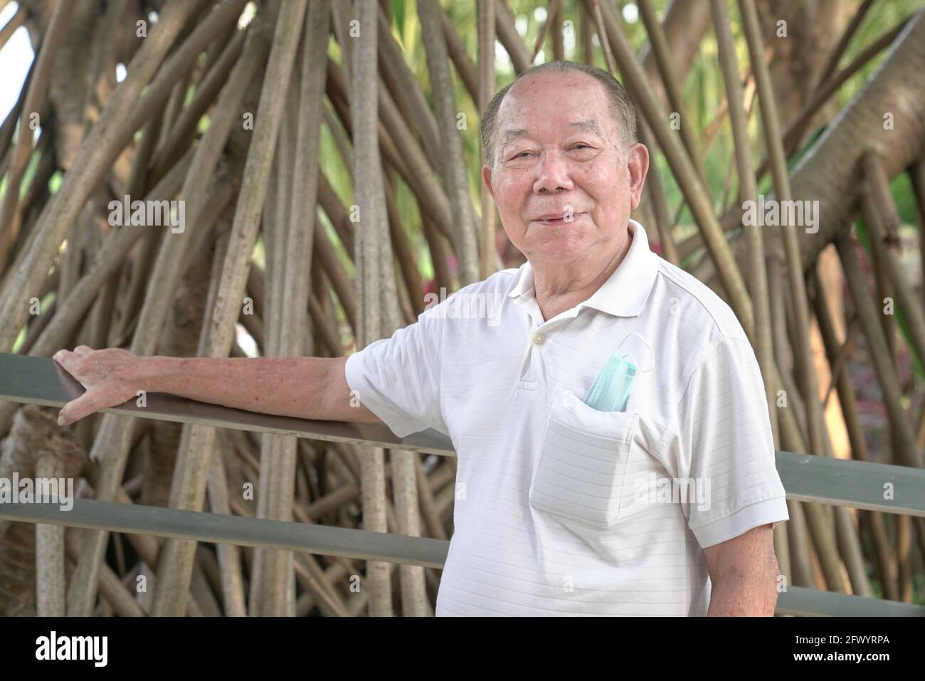 Ritratto di sorridente anziano asiatico nel parco. Foto Stock