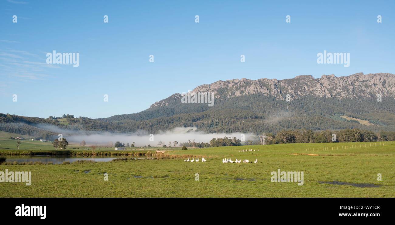 Monte Guglielmo e una fattoria, Tasmania Foto Stock