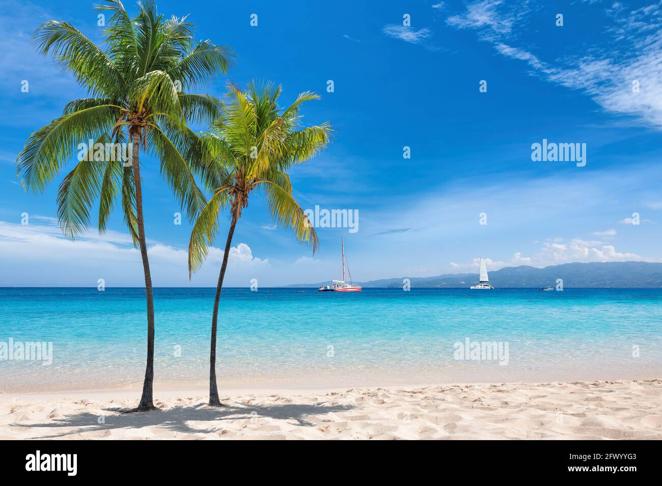 Palme sulla spiaggia Paradise Caribbean e sul mare tropicale Foto Stock