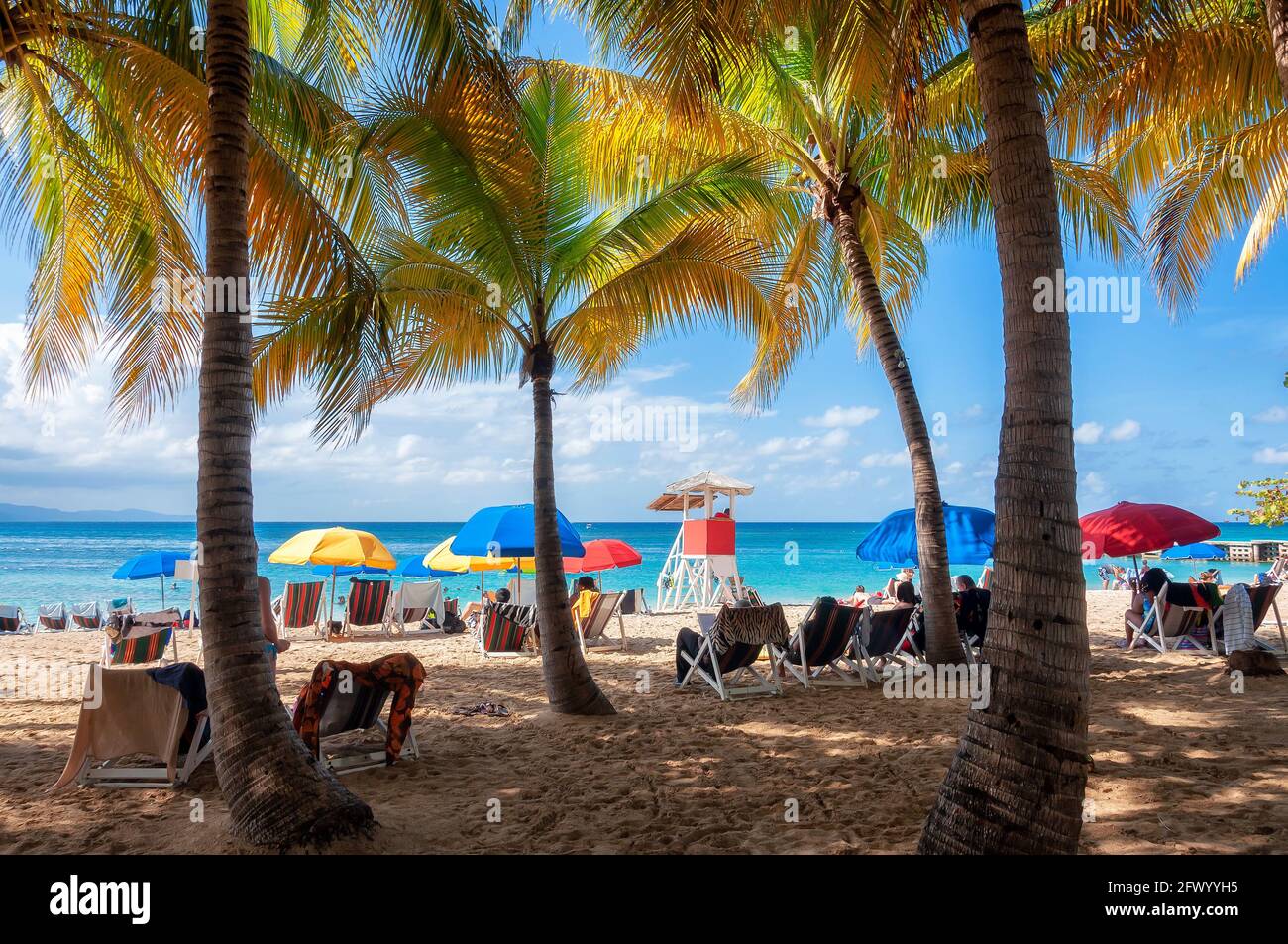 Palme sulla spiaggia tropicale nel Mar dei Caraibi, Montego Bay, Giamaica Foto Stock