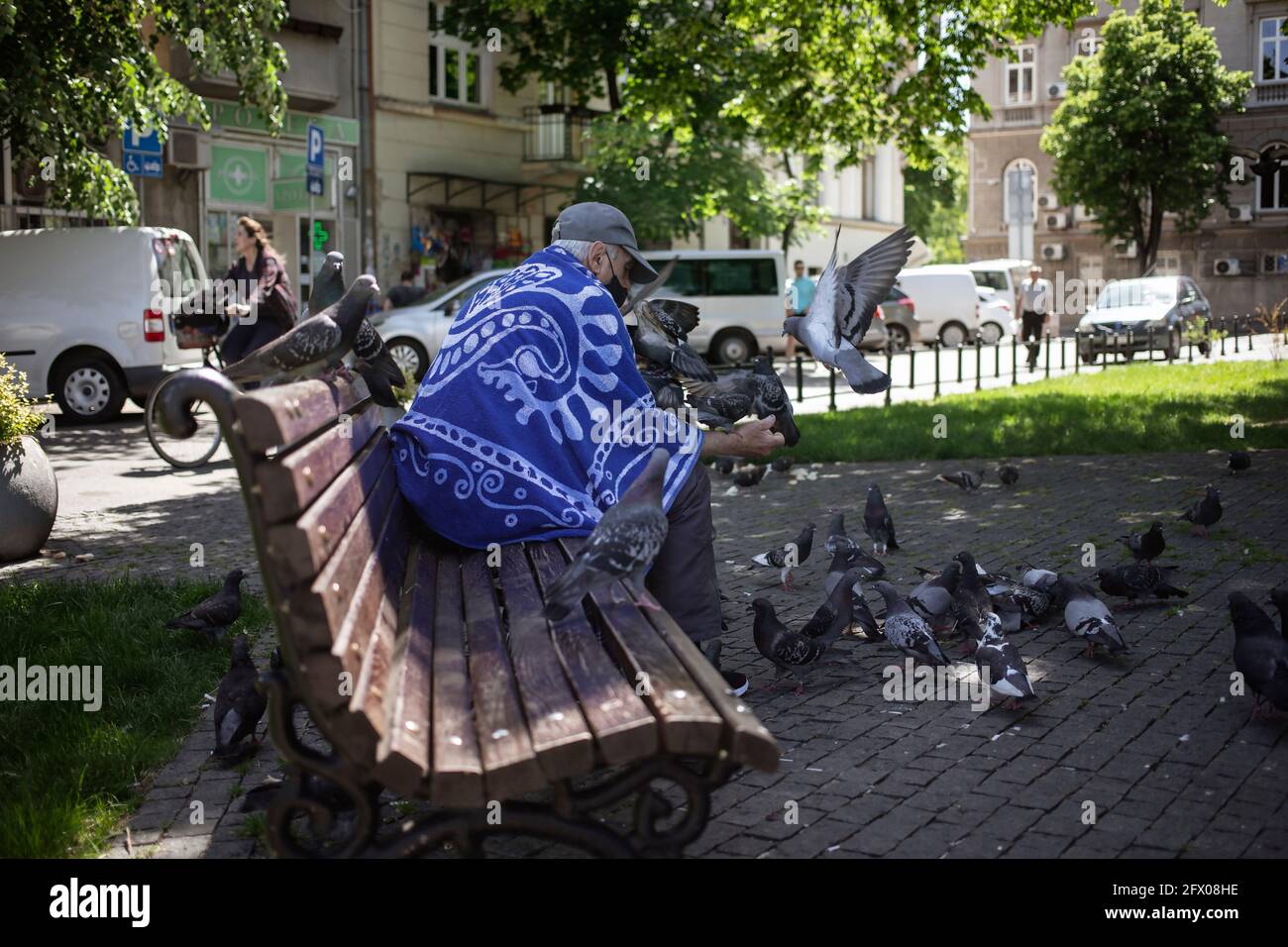 Belgrado, Serbia, 23 maggio 2021: Anziano che alimenta i piccioni nel parco Foto Stock