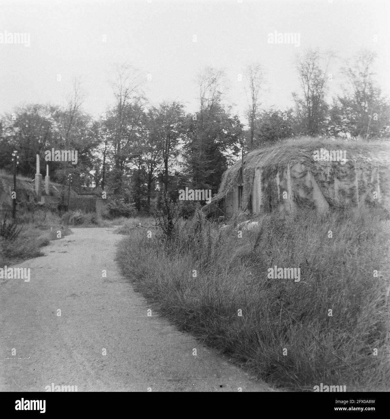 [Serie di mine sbarbate a Hook of Holland], agosto 1945, ripresa, seconda guerra mondiale, Paesi Bassi, foto agenzia stampa del xx secolo, notizie da ricordare, documentario, fotografia storica 1945-1990, storie visive, Storia umana del XX secolo, che cattura momenti nel tempo Foto Stock