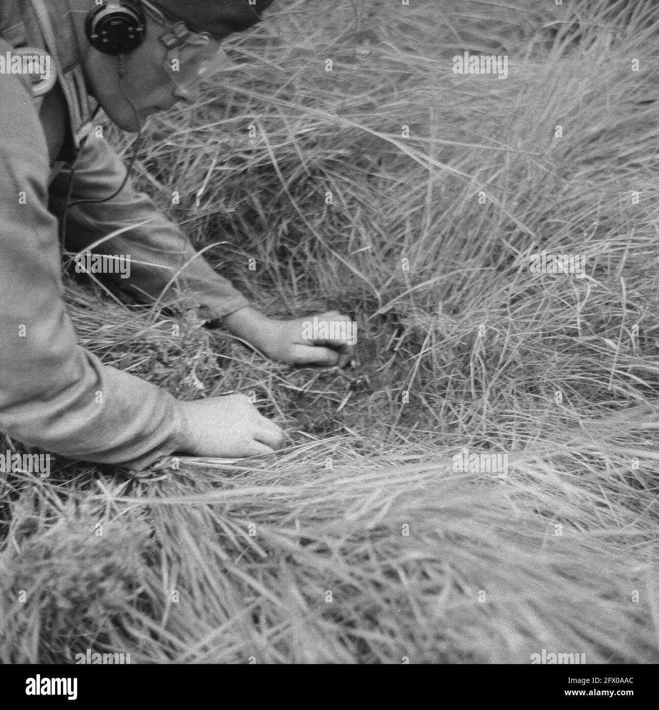 [Serie di mine terrestri sbarbate in Hook of Holland], agosto 1945, mine terrestri, sdoganamento, seconda guerra mondiale, Ricostruzione, Paesi Bassi, foto agenzia stampa del XX secolo, notizie da ricordare, documentario, fotografia storica 1945-1990, storie visive, Storia umana del XX secolo, che cattura momenti nel tempo Foto Stock