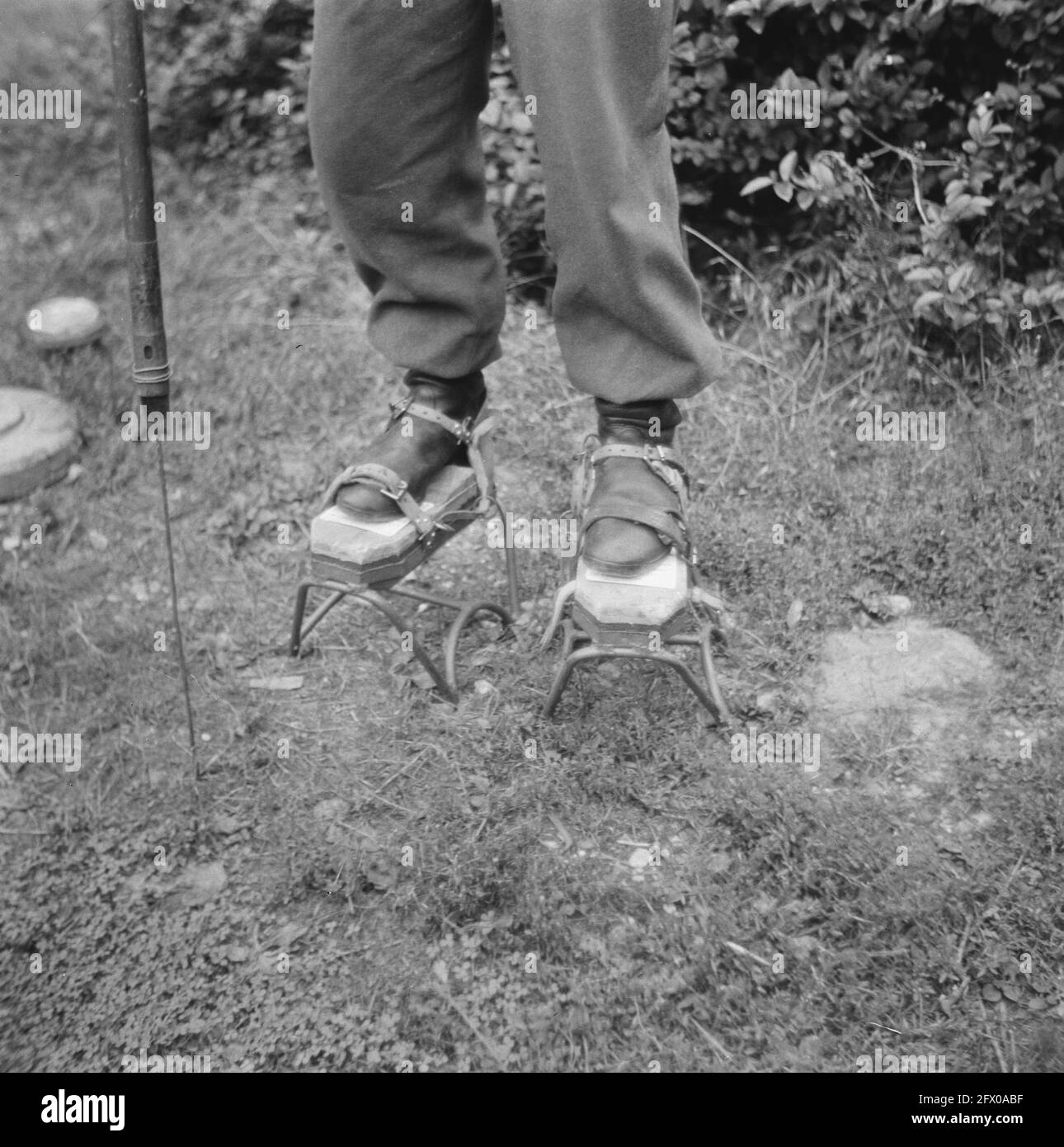 [Serie di mine terrestri liberate a Hook of Holland][prigioniero tedesco di guerra su palafitte], agosto 1945, mine terrestri, sminamento, seconda guerra mondiale, Ricostruzione, Paesi Bassi, foto agenzia stampa del XX secolo, notizie da ricordare, documentario, fotografia storica 1945-1990, storie visive, Storia umana del XX secolo, che cattura momenti nel tempo Foto Stock