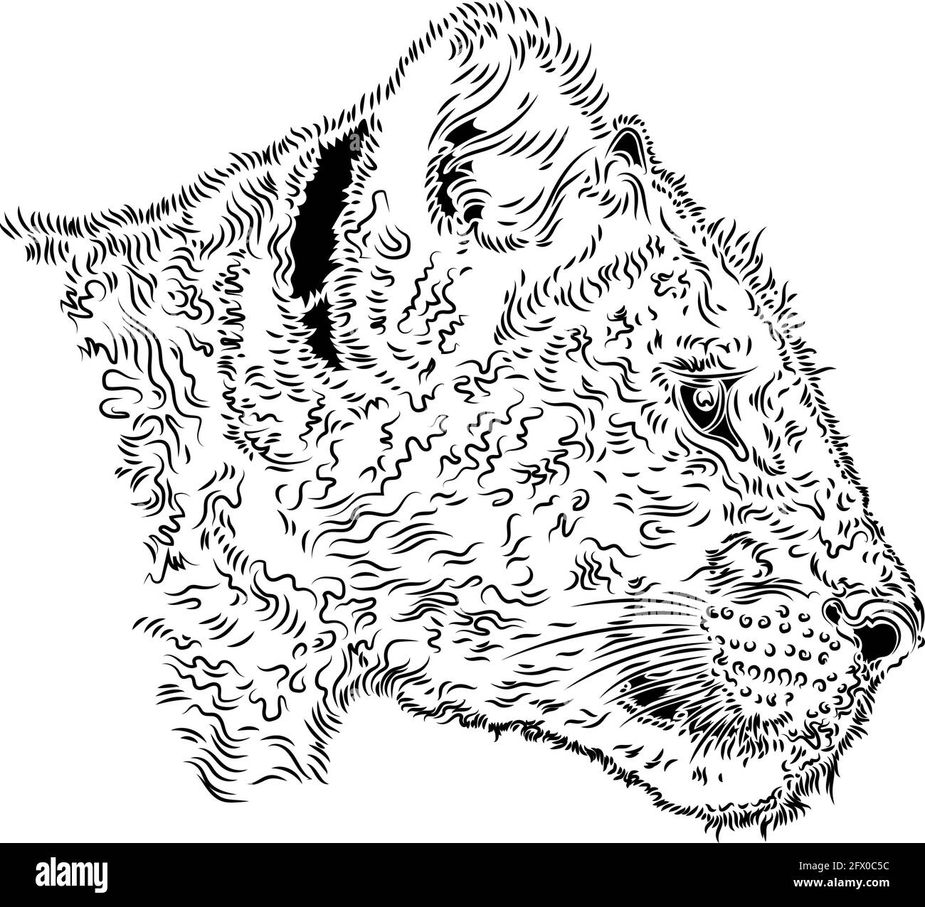 Testa del cucciolo leone, illustrazione vettoriale su sfondo bianco Illustrazione Vettoriale