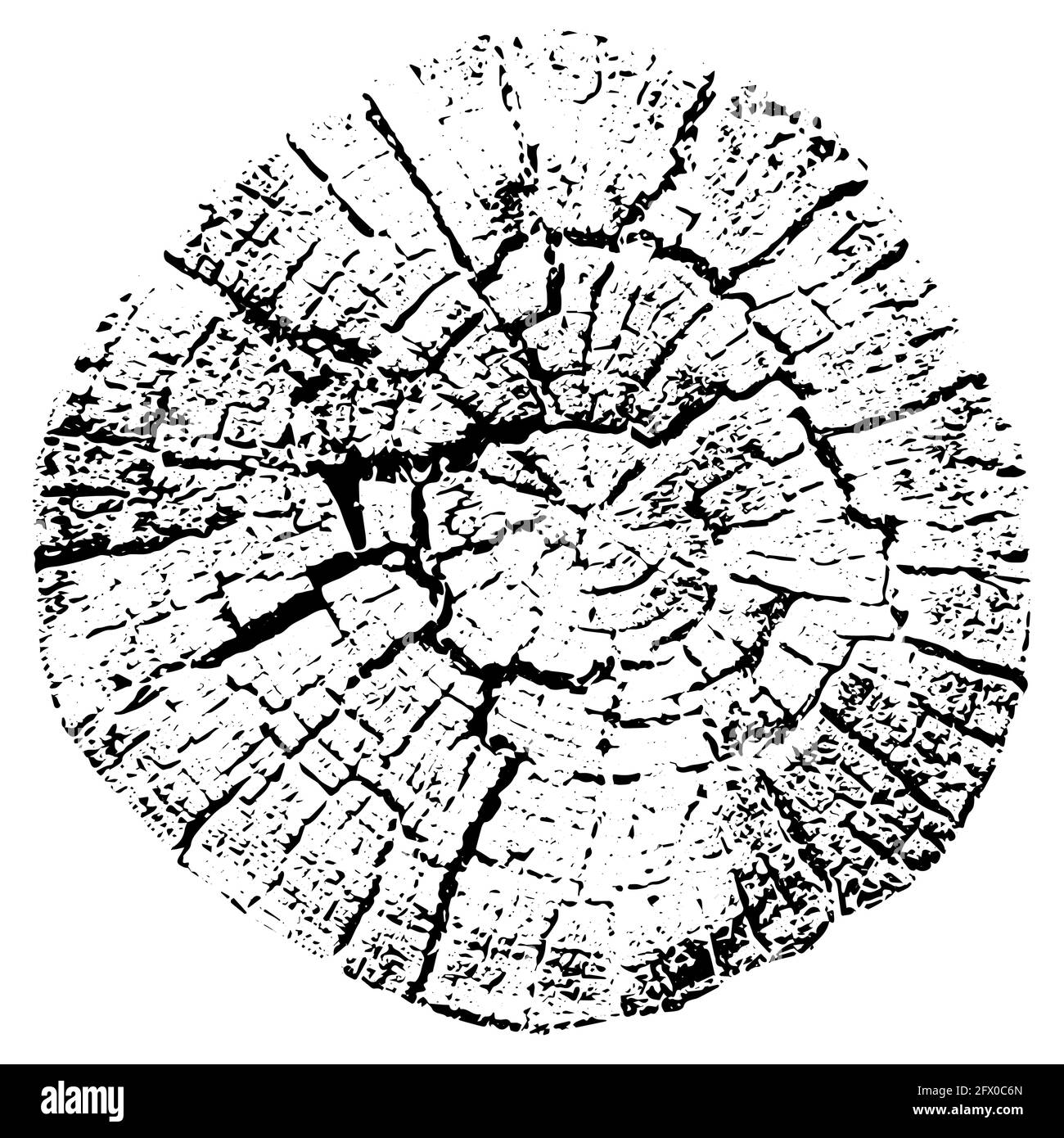 Anelli di crescita dell'albero. Legno tagliato naturale. Illustrazione vettoriale. Illustrazione Vettoriale