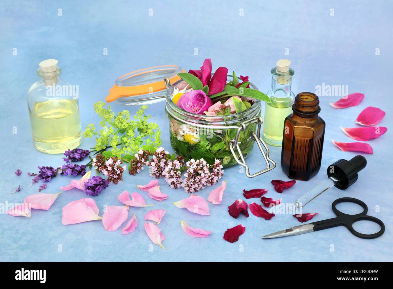 Medicina naturale alle erbe con fiori estivi ed erbe che si infiltrano in un vaso con olio e sciolto per fare l'olio essenziale di aromaterapia. Ancora vita per naturopa Foto Stock