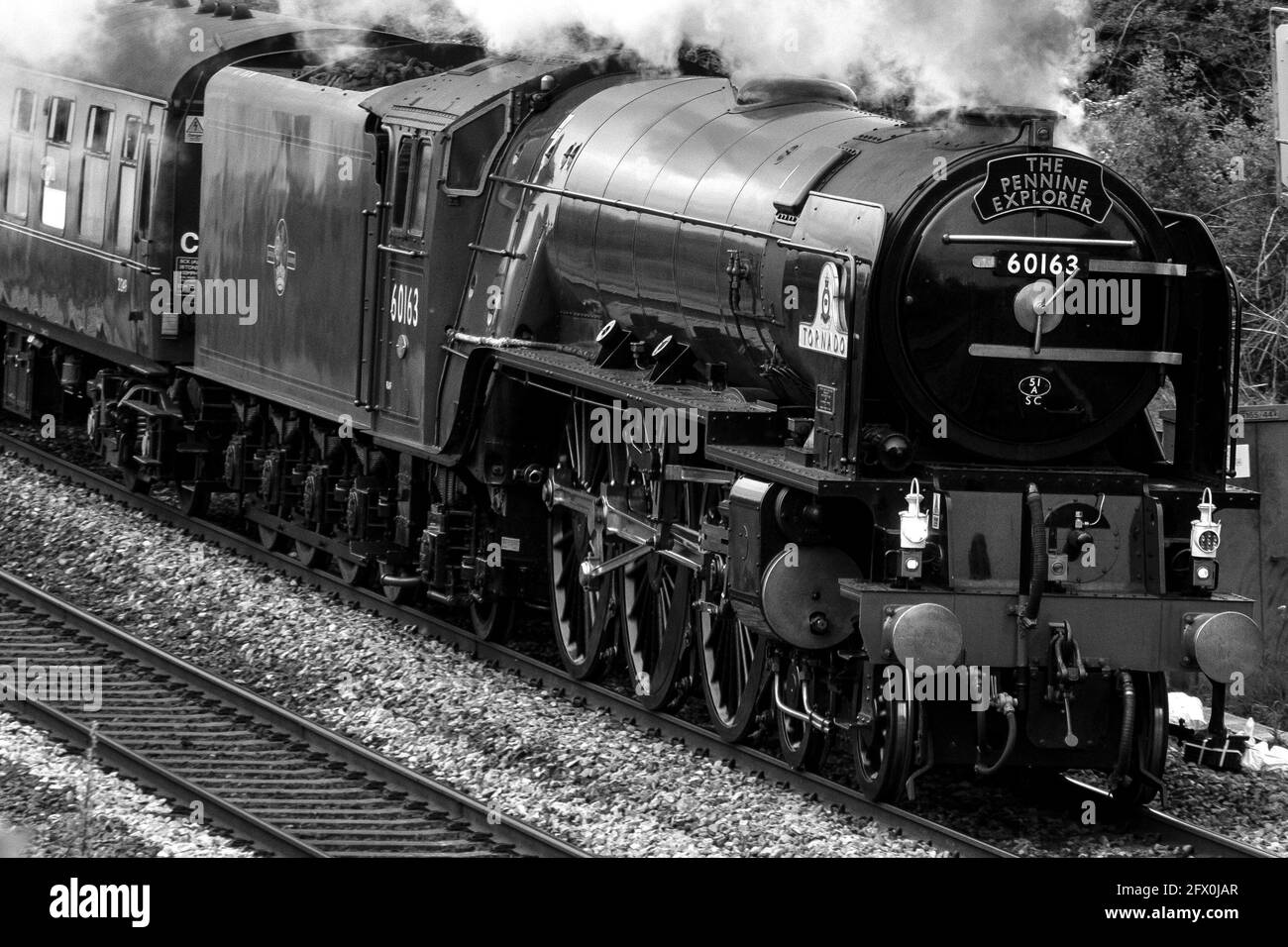 Locomotiva a vapore Tornado che passa attraverso Kilnhurst, South Yorkshire sulla strada per Carlisle. Foto Stock