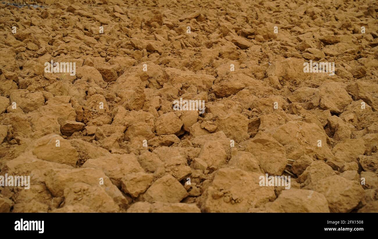 Concetto di agricoltura, grandi e piccoli pezzi di terreno in un campo vuoto. Preparazione del campo per il nuovo raccolto in India. Foto Stock