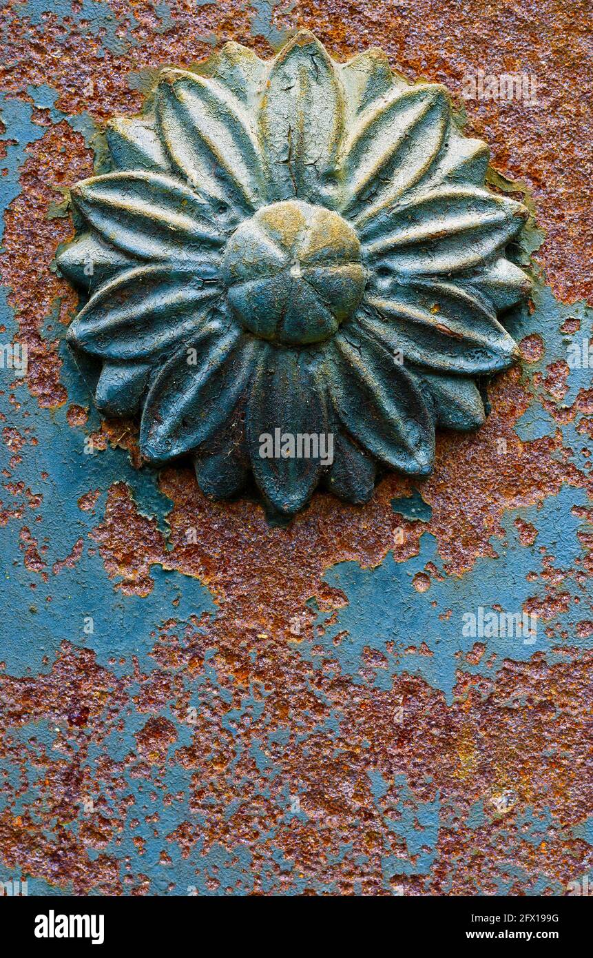 Arrugginito fiore di ferro decorativo su piastra metallica fessurata Foto Stock
