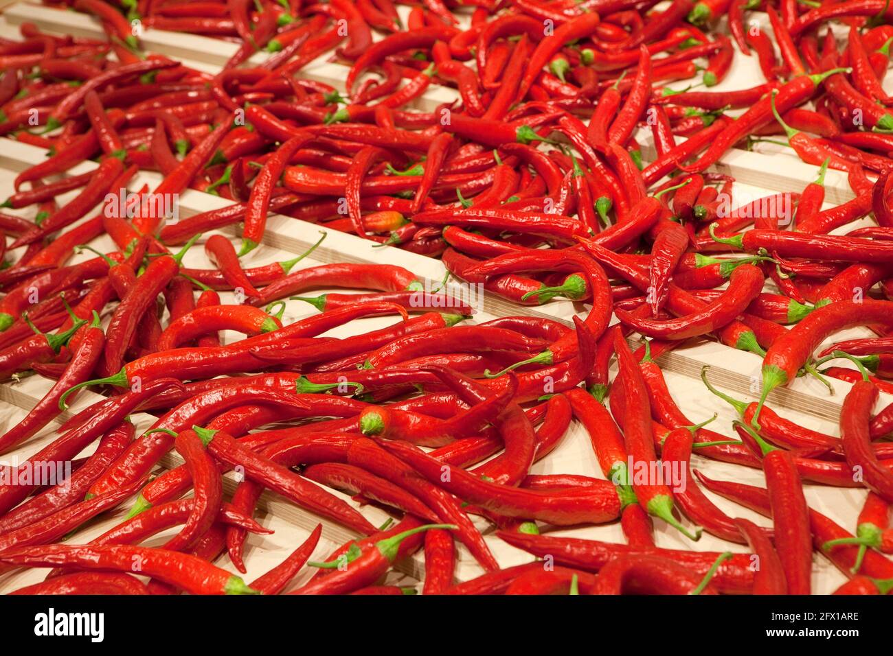 Peperoni di peperoncino rosso Foto Stock