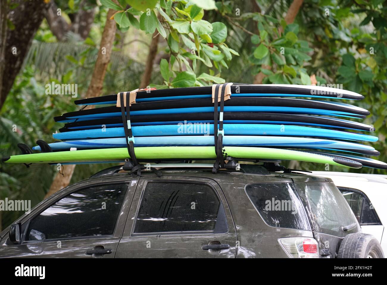 Surfboards car immagini e fotografie stock ad alta risoluzione - Alamy
