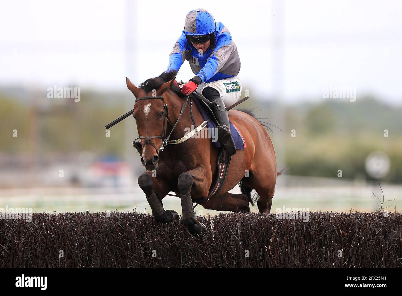 Caro Des Flos guidato dal jockey Tom Bellamy chiaro una recinzione durante il seguito Jigsaw Sport Branding su Twitter handicap Chase a Southwell Racecourse. Data immagine: Martedì 25 maggio 2021. Foto Stock