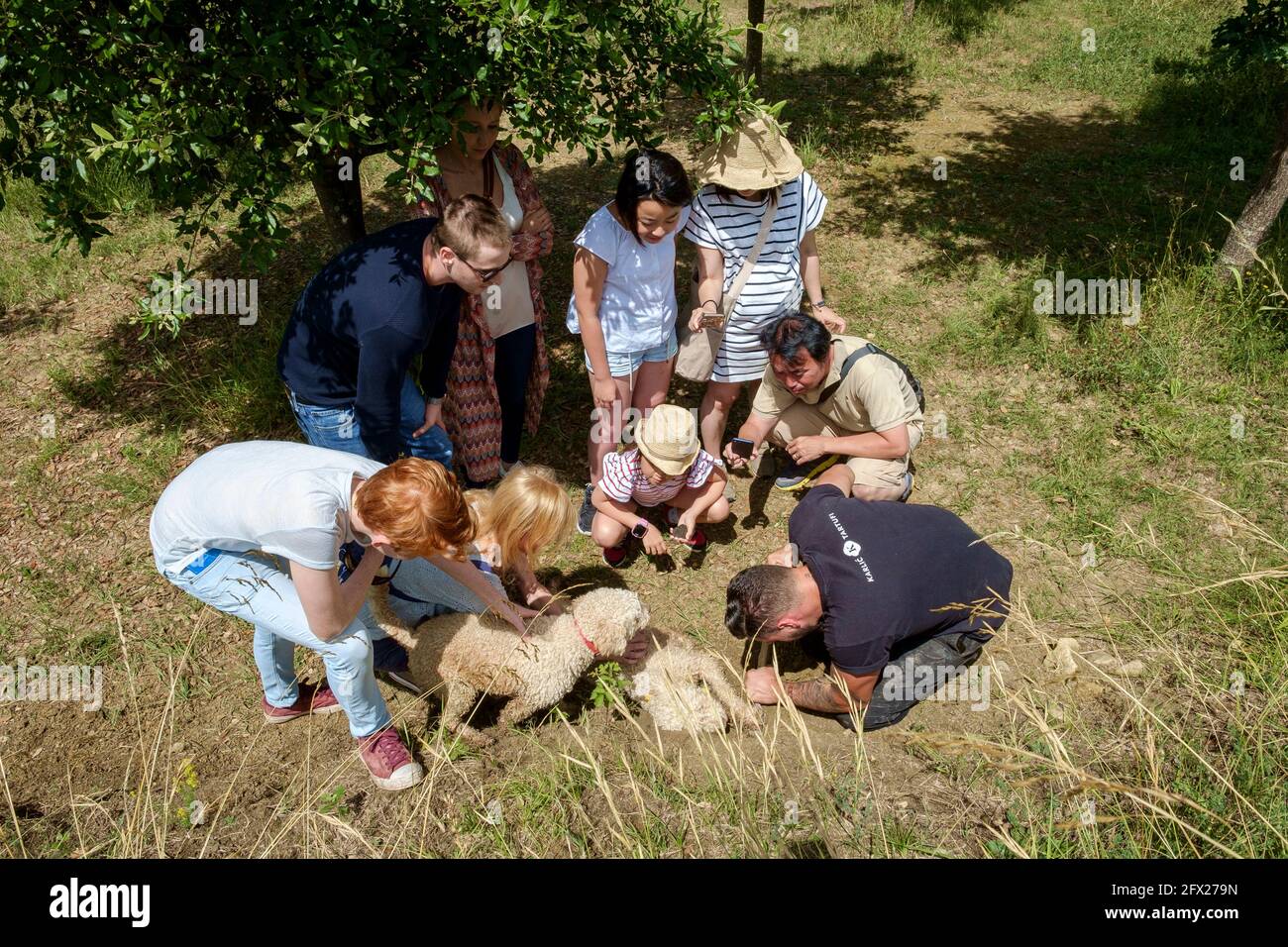 Turisti in un tour guidato di caccia al tartufo. Immagini con la guida e i suoi due cani d'acqua che sono addestrati per sniff fuori i tartufi. Foto Stock