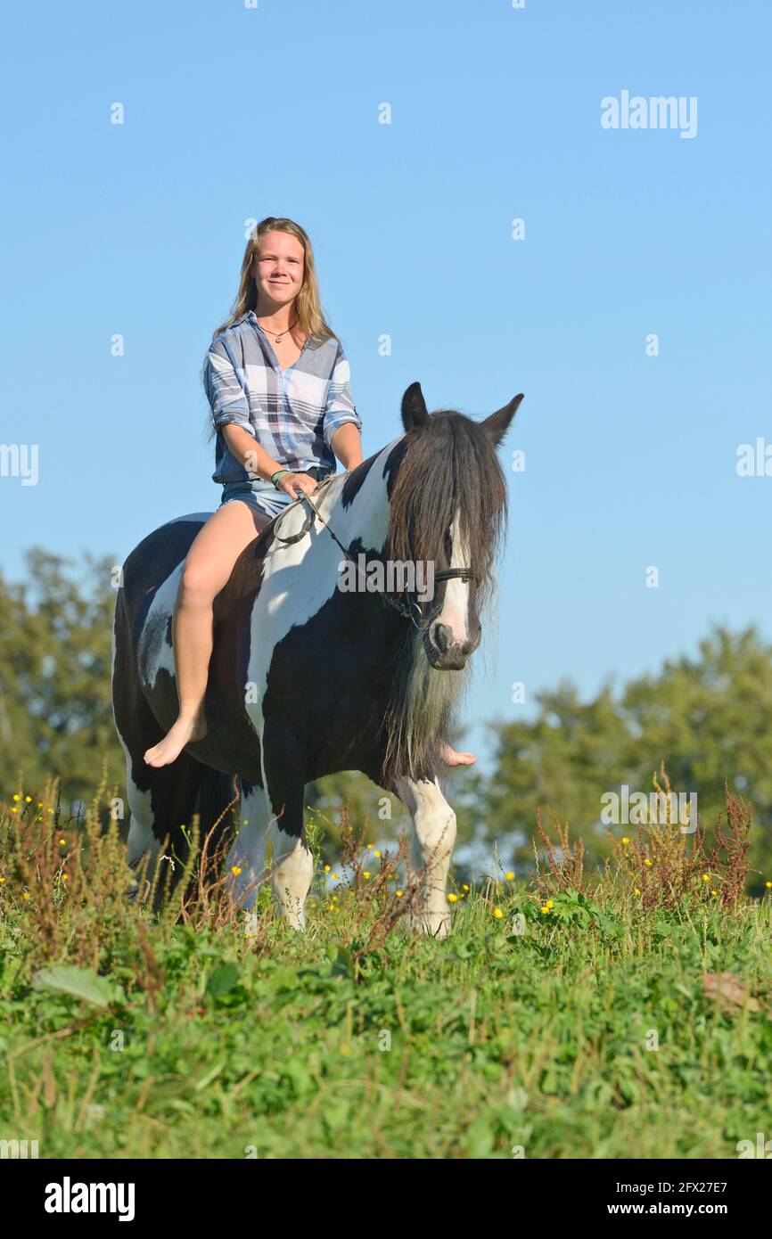 Equitazione bareback su un cavallo irlandese COB, barfoot e in pantaloncini Foto Stock