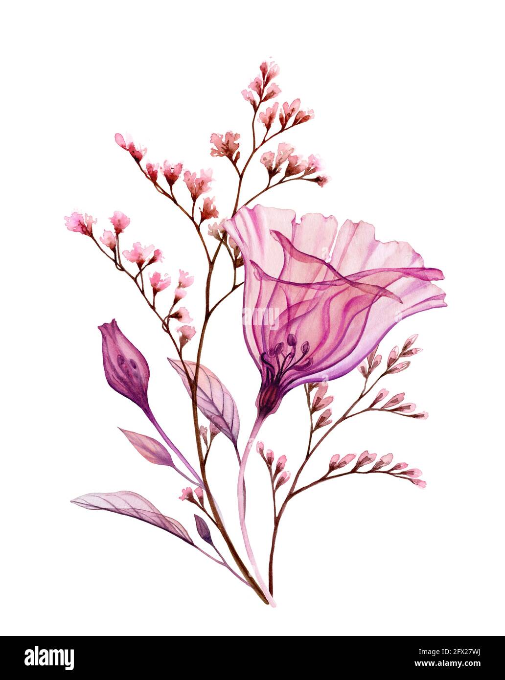 Bouquet acquerello. Eustoma fiore trasparente con rami delicati isolati su bianco. Opere d'arte vintage dipinte a mano. Illustrazione botanica per Foto Stock