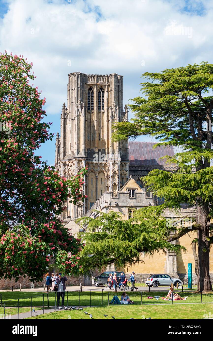 Una delle cattedrali di Wells in estate. Foto Stock