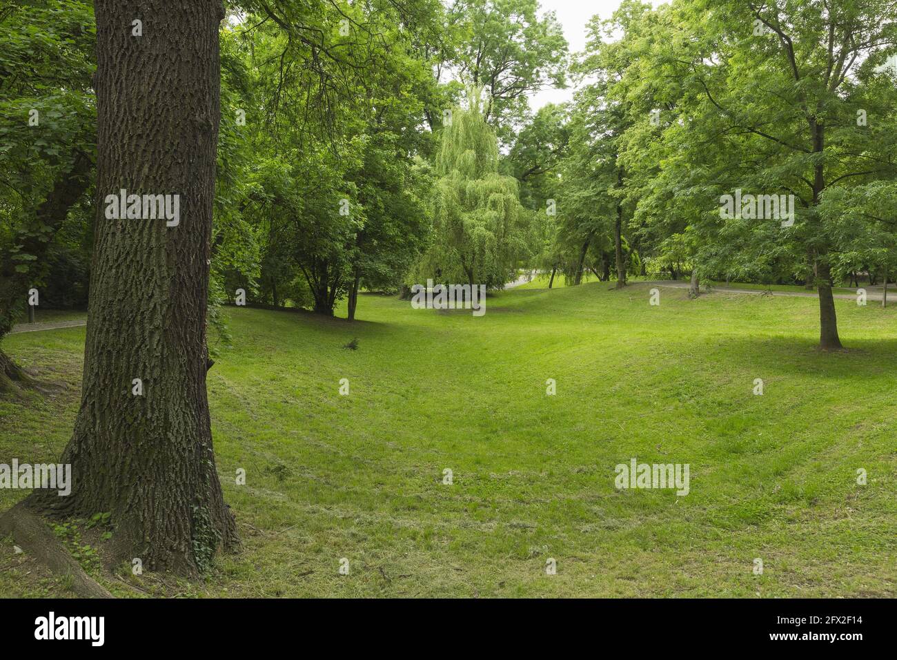 Nel parco Foto Stock