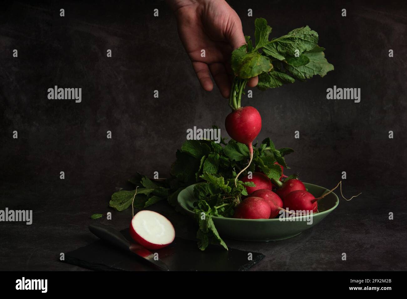 la mano di un uomo tiene un mazzo di ravanelli freschi Foto Stock