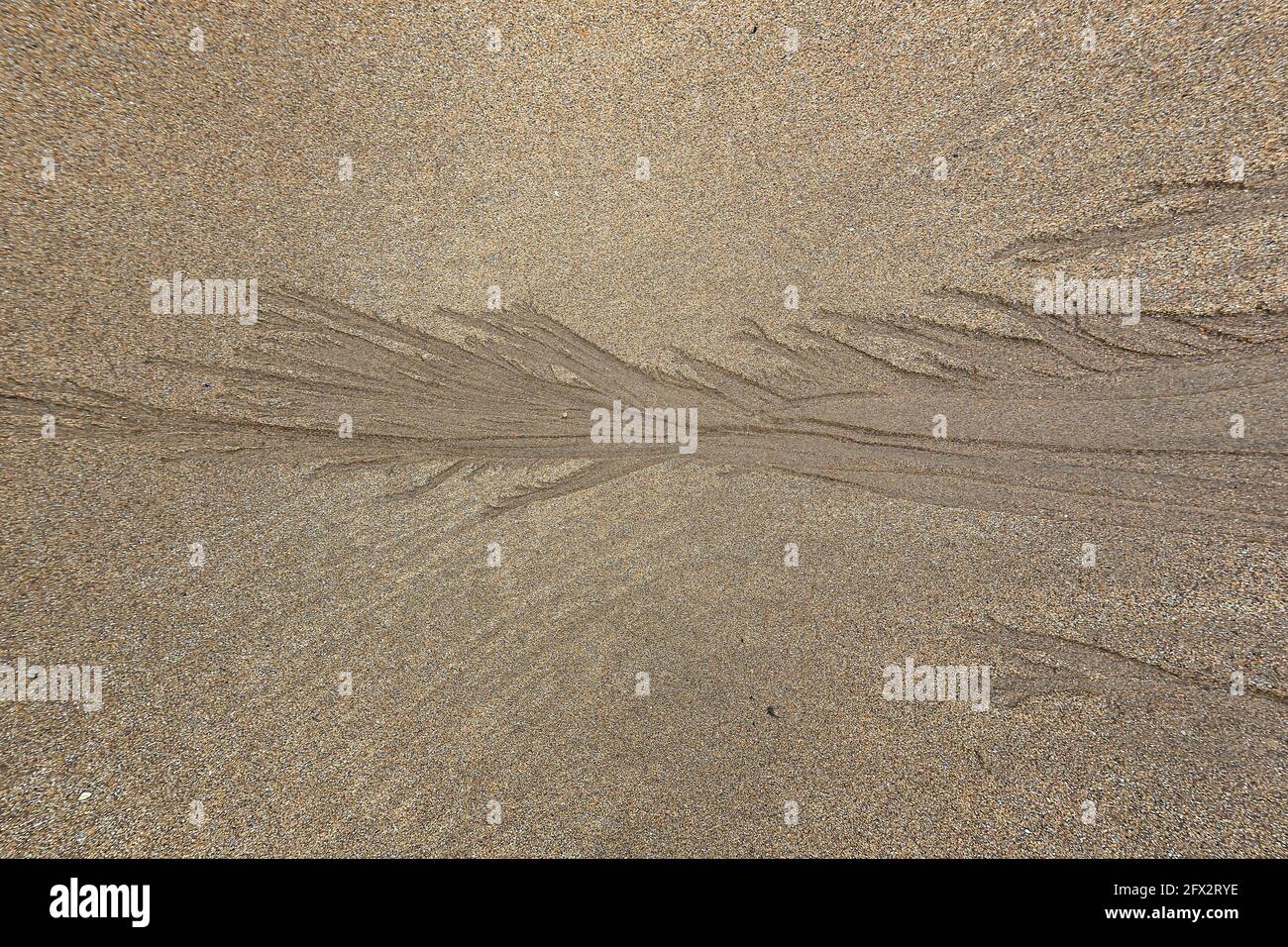 Arte della sabbia Foto Stock