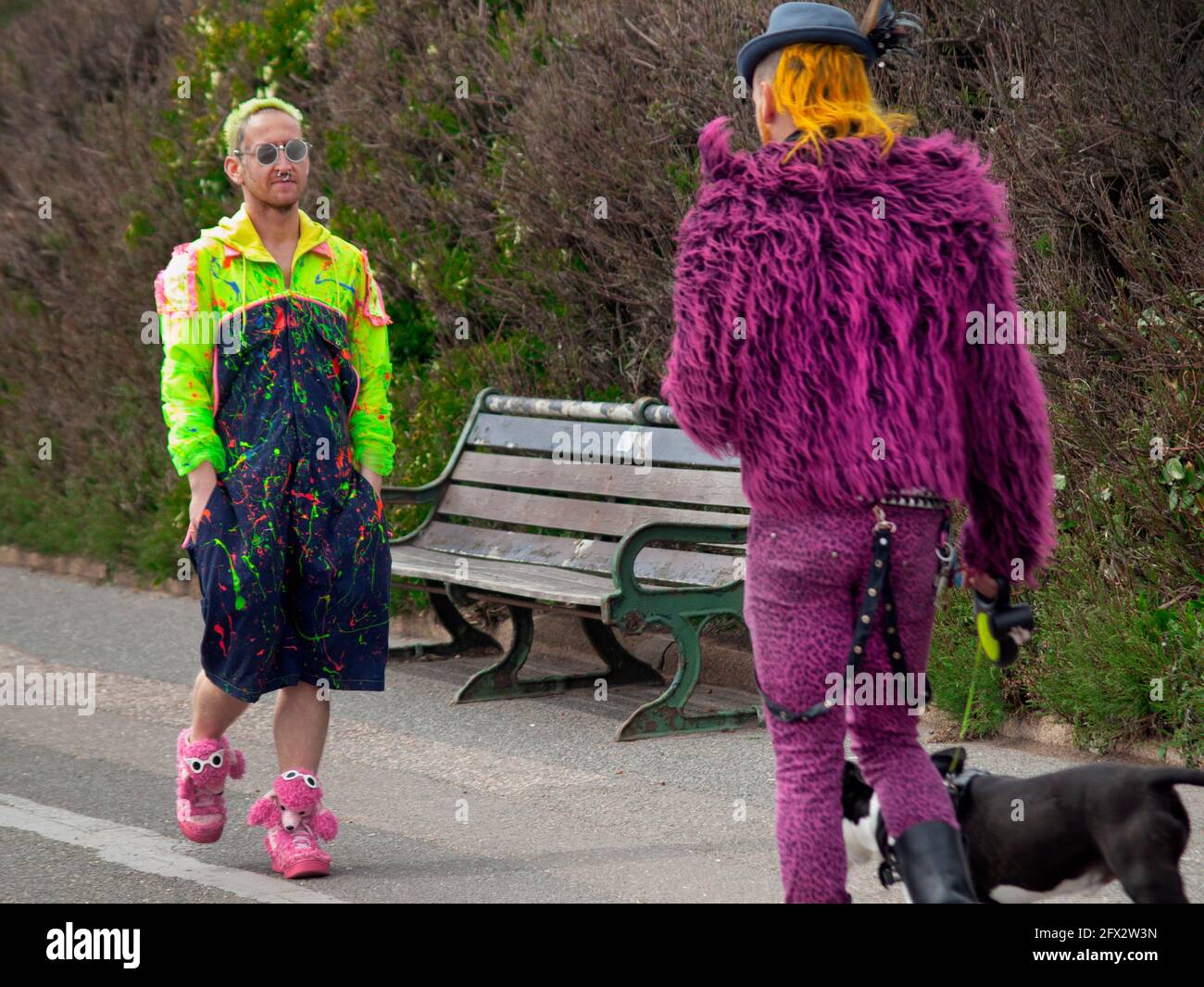Cane a camminare in Brighton Foto Stock