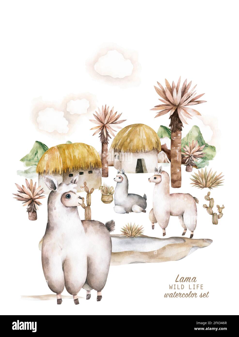 Baby doccia per ragazzo, ragazza. Carino llamas alpaca personaggi sorridenti, a piedi, nel deserto del Perù paesaggio con cactus. Divertente famiglia di animali lama messicana Foto Stock