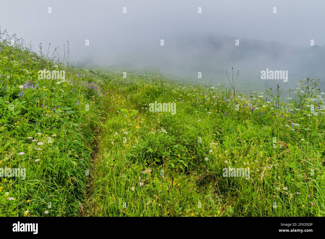 Paesaggio del Parco Nazionale di Dilijan in Armenia Foto Stock