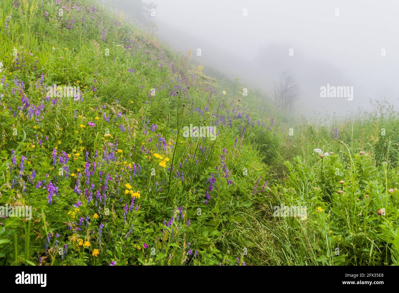 Paesaggio del Parco Nazionale di Dilijan in Armenia Foto Stock