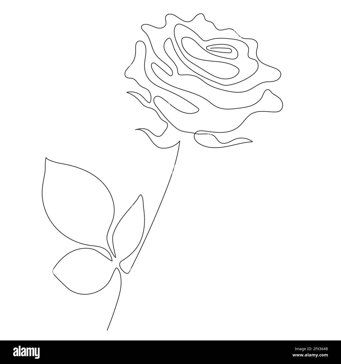 Rose Line arte - fiore bello. Illustrazione vettoriale. Disegno a linea continua. Disegno minimalista astratto di fiori per copertina, stampe, Home decor immagine Illustrazione Vettoriale