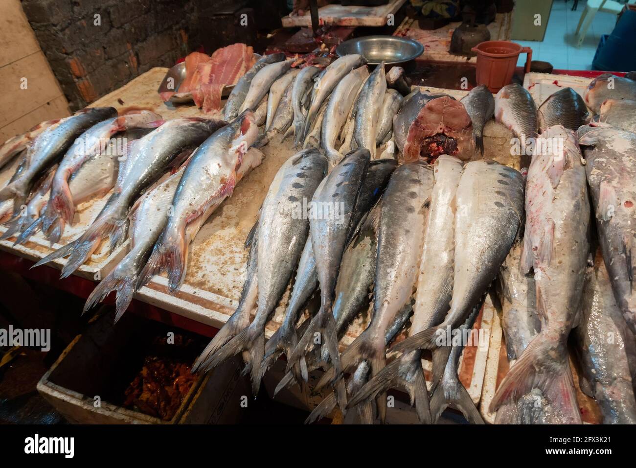 Pesce fresco non cotti al vecchio mercato di Delhi. In sera, India. Il posto è famoso per i cibi deliziosi e i piatti di pesce. Foto Stock