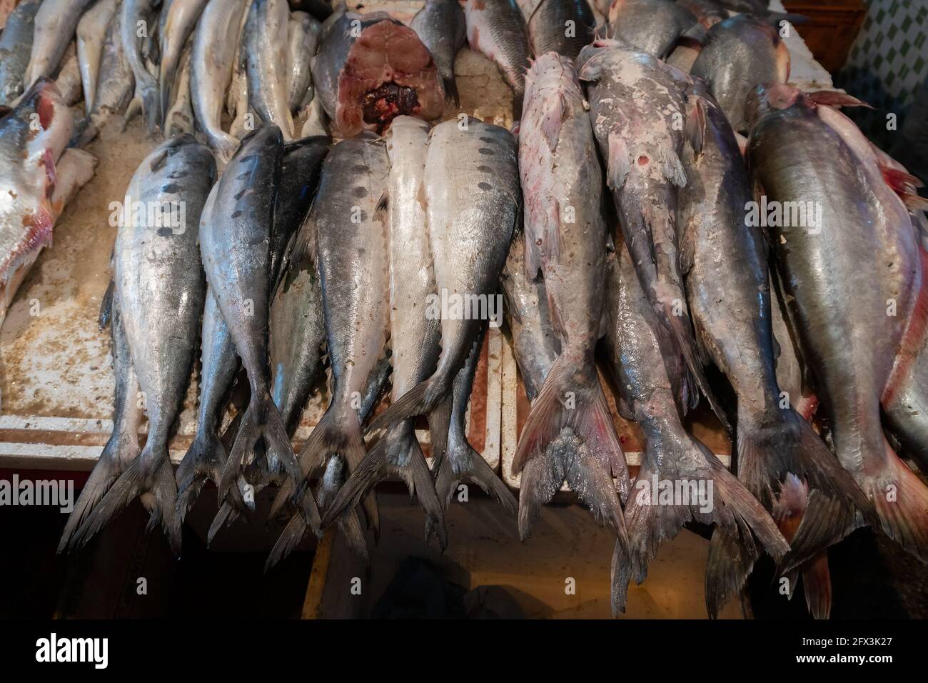 Pesce fresco non cotti al vecchio mercato di Delhi. In sera, India. Il posto è famoso per i cibi deliziosi e i piatti di pesce. Foto Stock