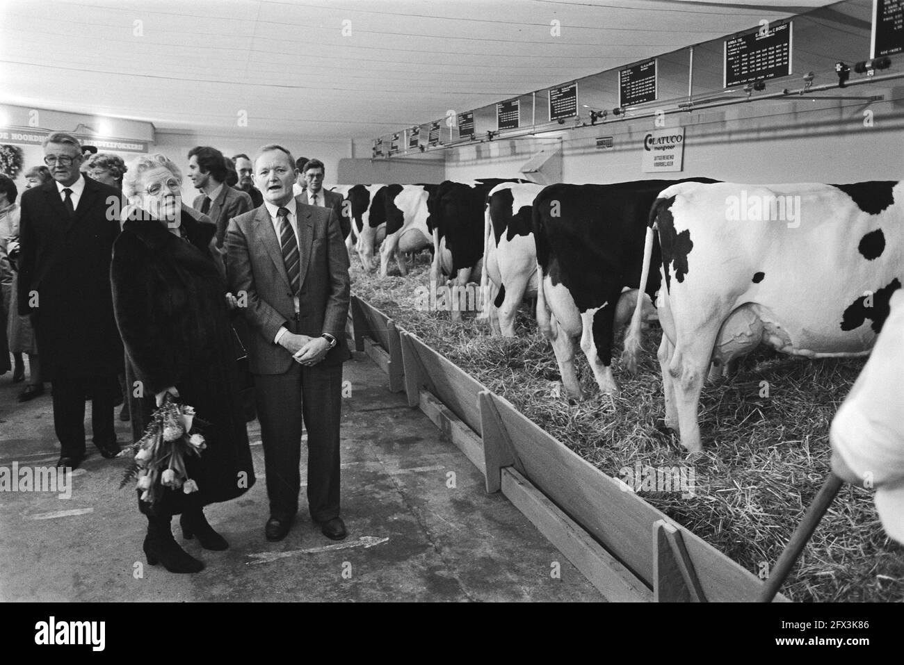 Principessa Juliana in un fienile con vacche da latte, 18 febbraio 1983, fiere, bulbi di fiori, Mucche, aperture, mostre, Paesi Bassi, foto agenzia stampa del XX secolo, notizie da ricordare, documentario, fotografia storica 1945-1990, storie visive, Storia umana del XX secolo, che cattura momenti nel tempo Foto Stock