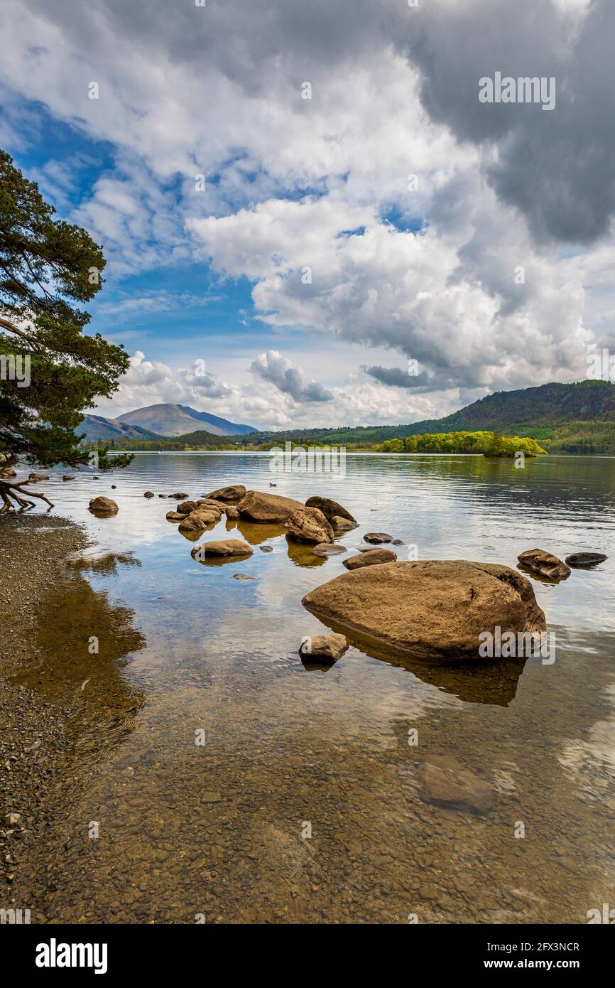 Guardando a nord lungo la riva occidentale di Derwent Water, Lake District, Inghilterra Foto Stock