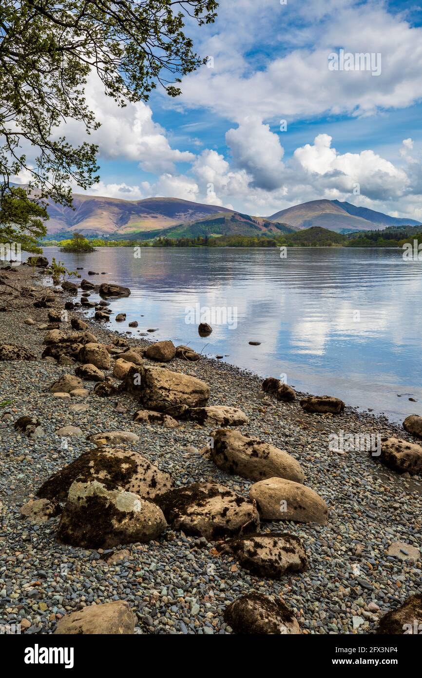 Guardando a nord lungo la riva occidentale di Derwent Water, Lake District, Inghilterra Foto Stock