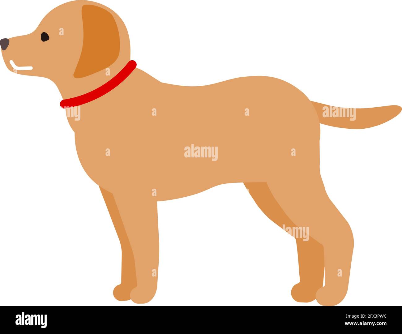 Set Vettoriale Con Simpatici Cuccioli Di Cane Dei Cartoni Animati Razze Di Cani