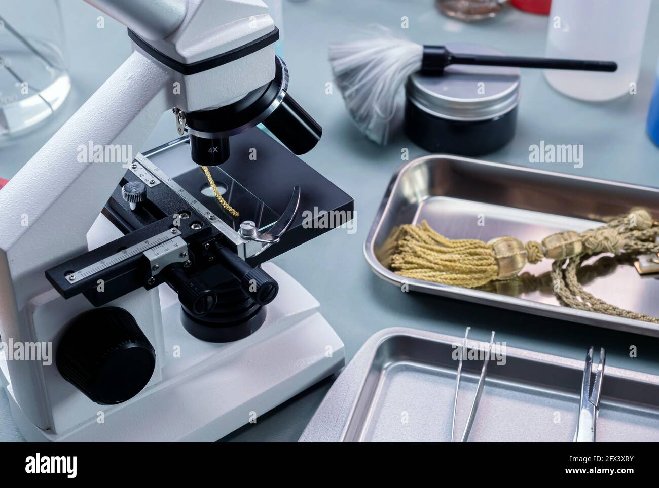 Cavo d'oro al microscopio analizzato in un laboratorio di criminalità, immagine concettuale Foto Stock