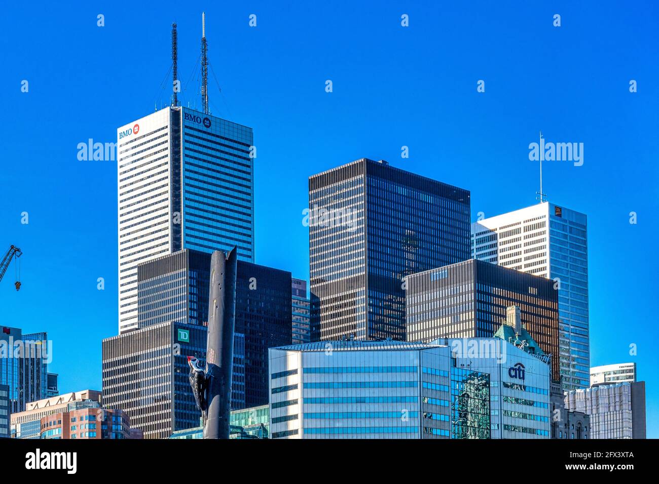 Primo piano del quartiere finanziario centrale dal Toronto Metro Convention Centre nel quartiere del centro, Canada Foto Stock